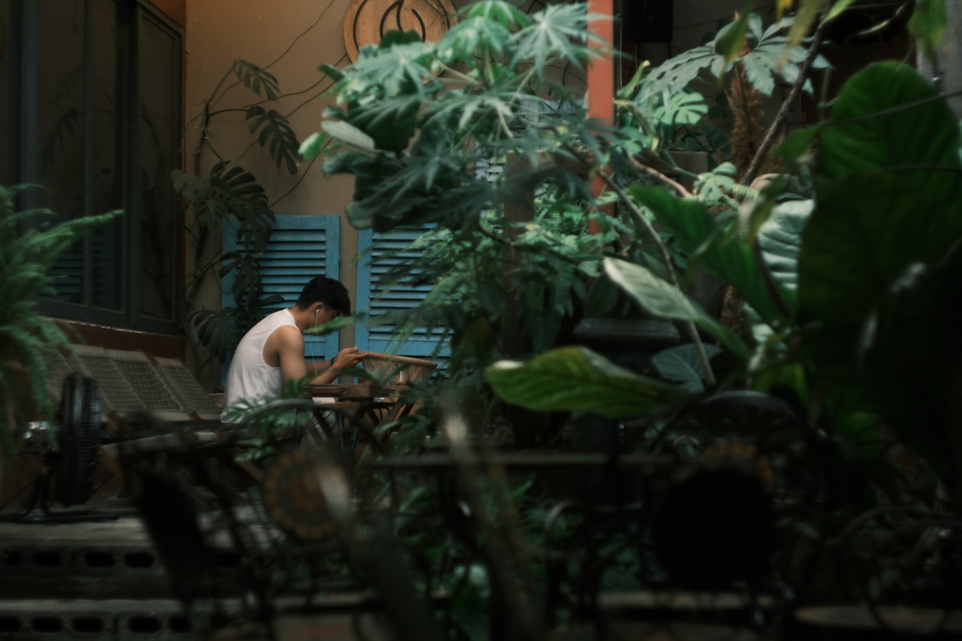 Phuoc Sang - Unsplash