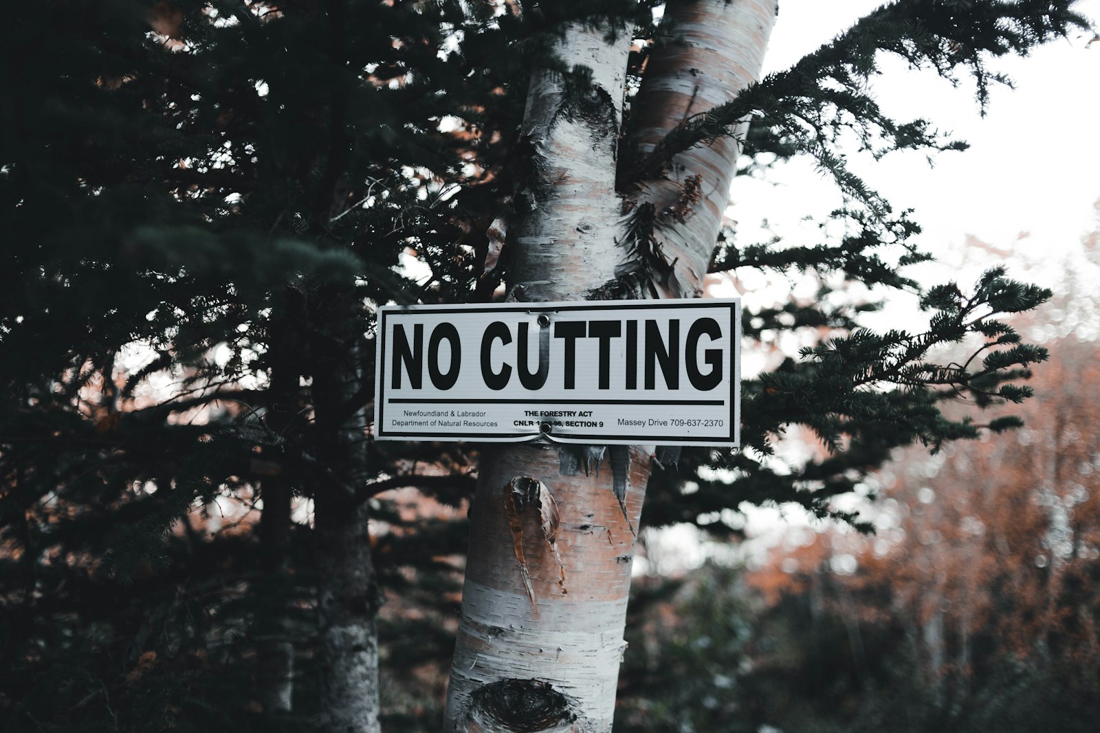 When you care but do not have the capacity to help