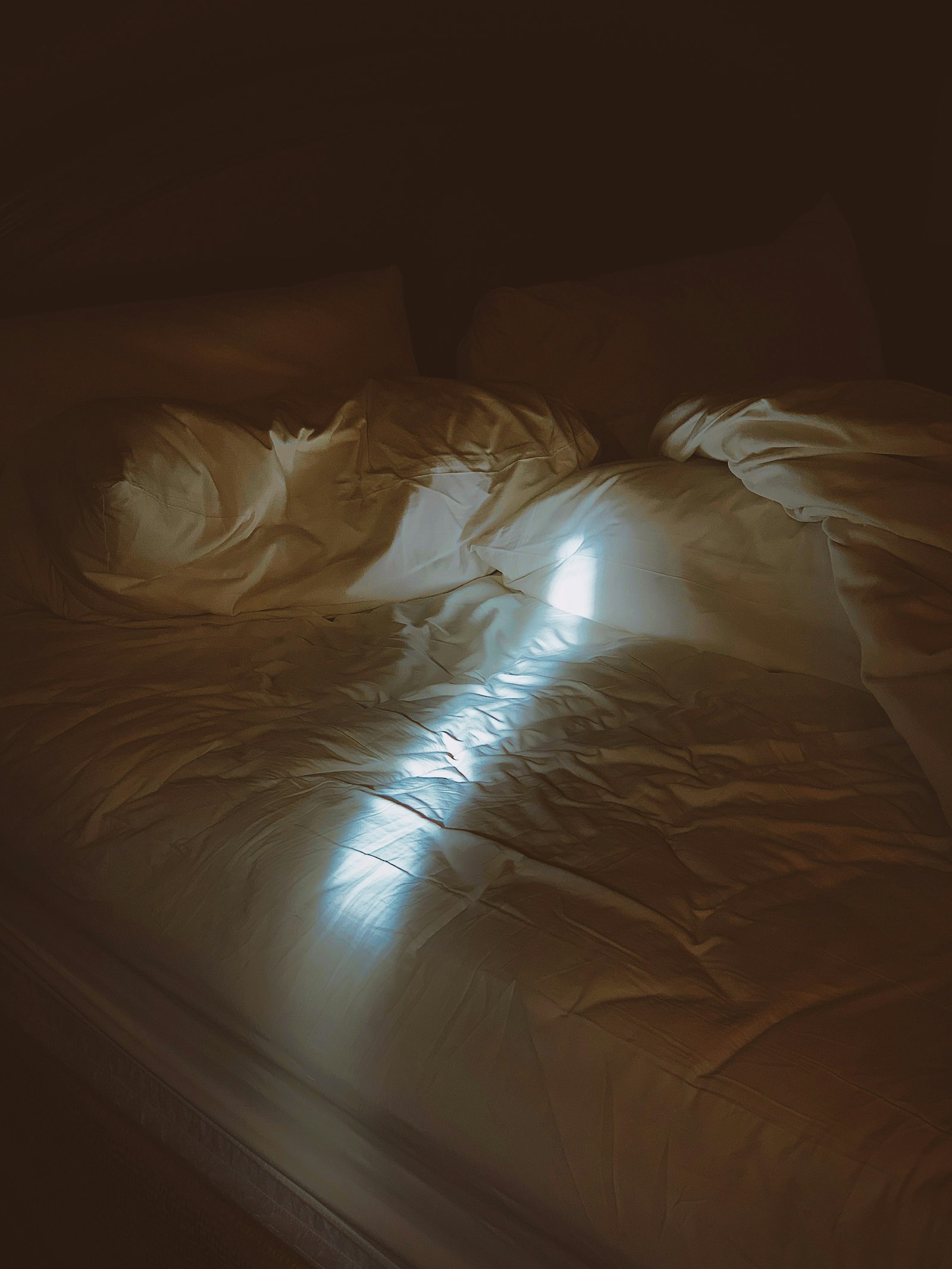 Andrej Lisakov - Unsplash
