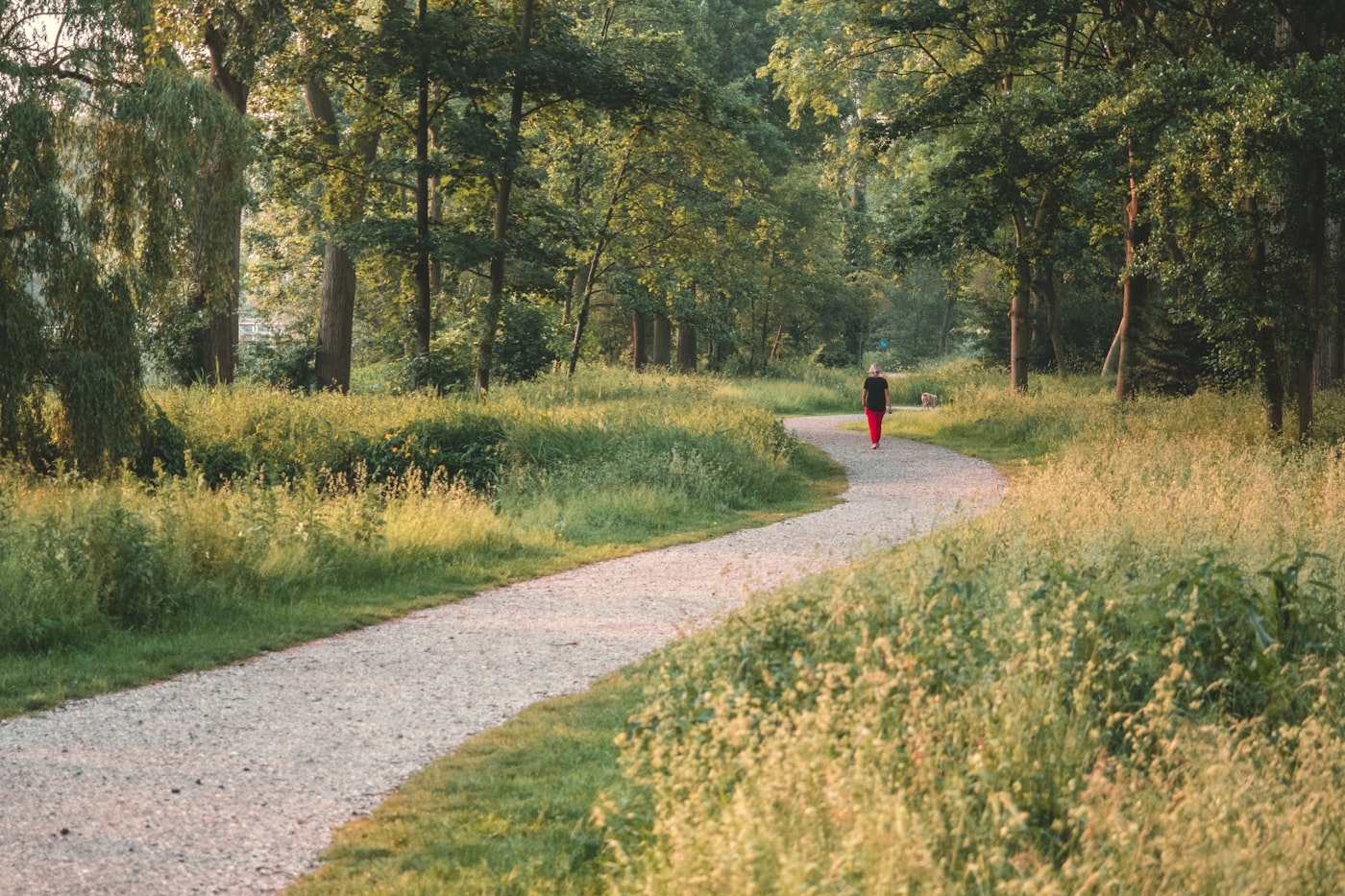 A walk that isn’t for anything