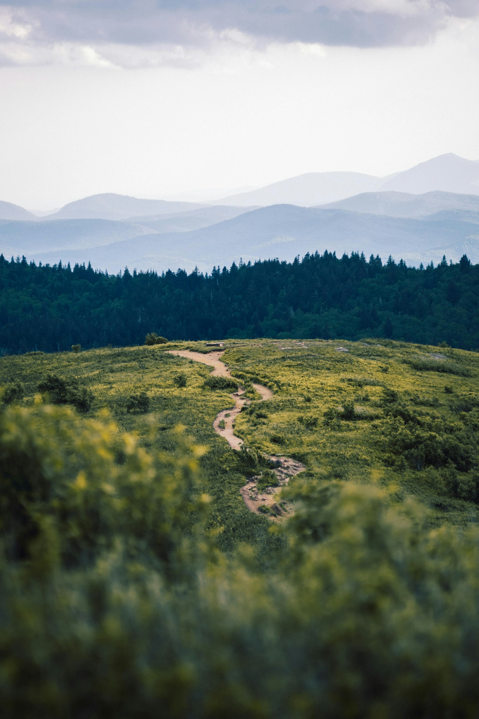 Alex Diaz - Unsplash