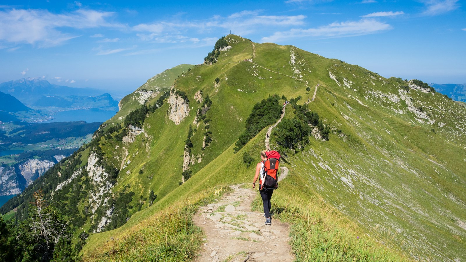 Why a big choice can make you feel dizzy
